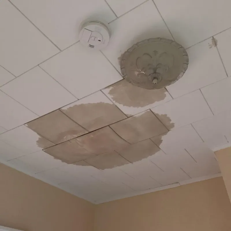 Ceiling Water Damage Repair in Roby, TX