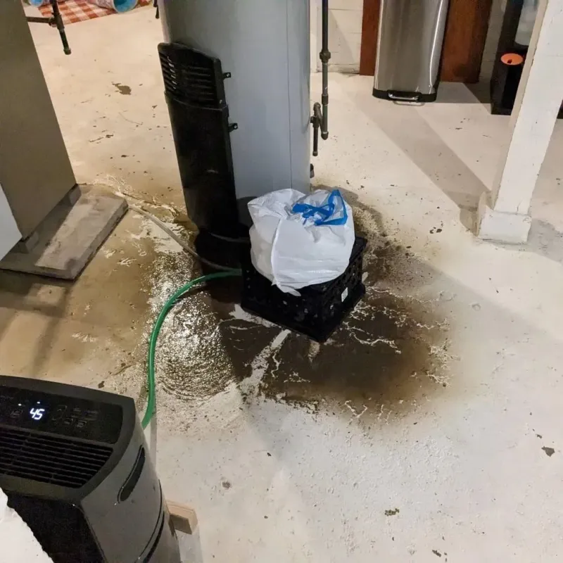 Sewage Backup Cleanup Service in Roby, TX